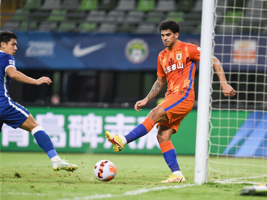 多自主权 多自主权